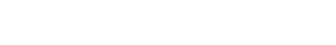 Crunchfinn Word Logo